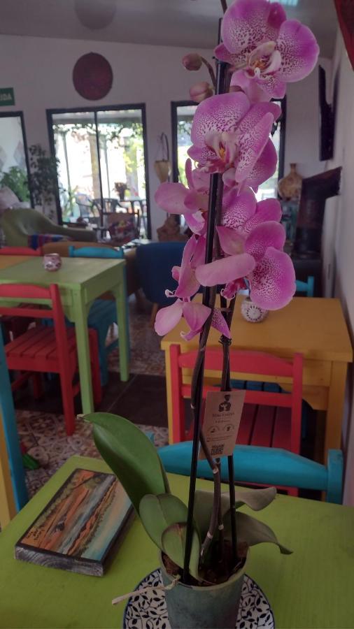 El Bodegon Hostal Boutique (Adults Only) Punta Del Diablo Bagian luar foto
